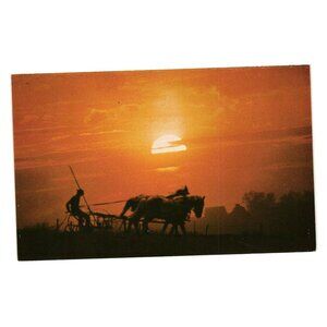 Last Of The Pioneers Amish Farming Horses Sunset Postcard John Zielinski R11663